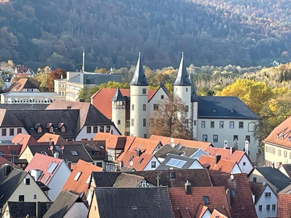 Wohnen Im Springerhof Leilighet Lohr Eksteriør bilde