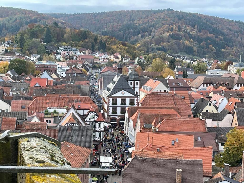Wohnen Im Springerhof Leilighet Lohr Eksteriør bilde